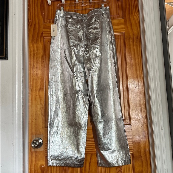 Silver Pants - Picture 6 of 7